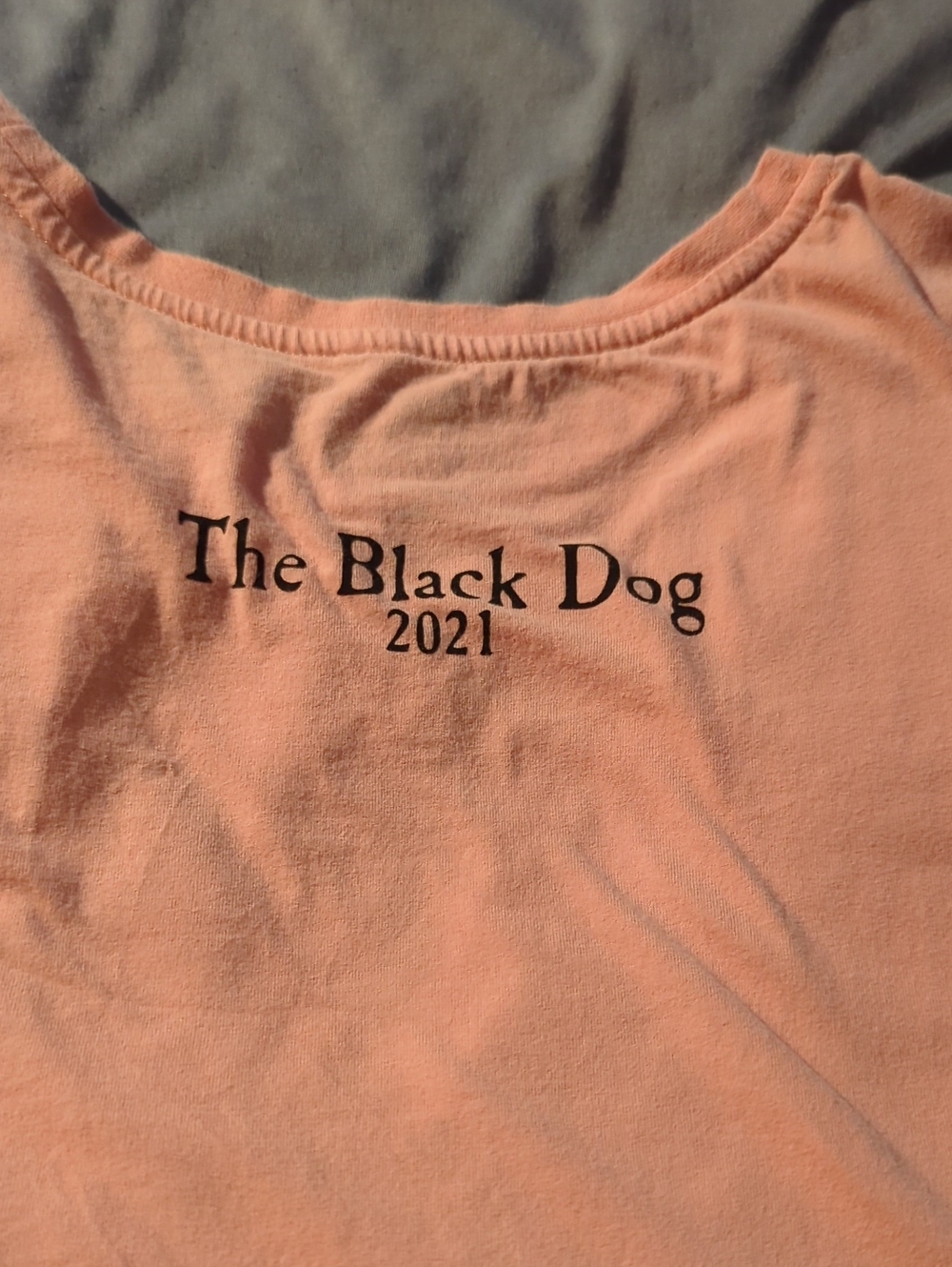 The Black Dog Peach Colored Tee with Black Dog Graphic- 50th anniversary Limited - Picture 5 of 5